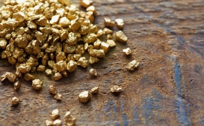 Золотой чемпион: крупнейшая золотодобывающая компания Монголии заявила о покупке ещё одного рудника